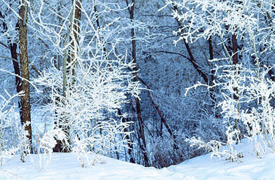 winter_minneapolis_snow.jpg